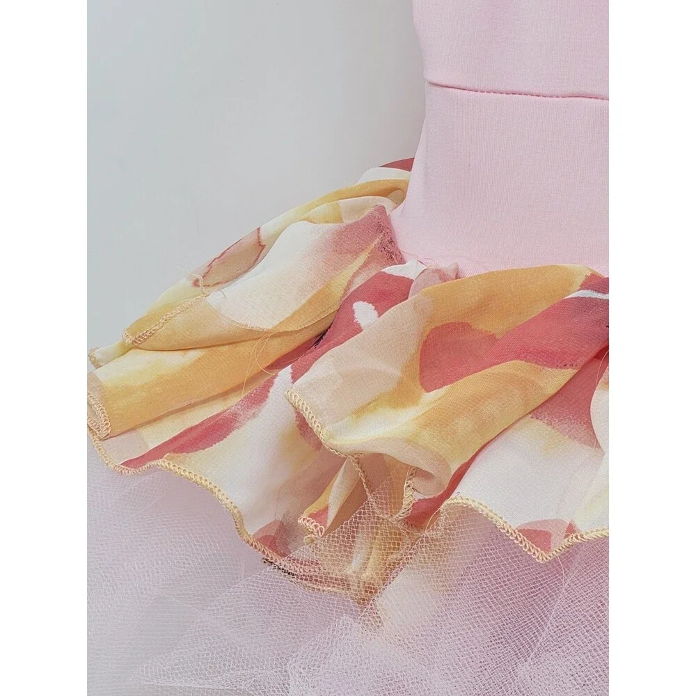 Duck Crossing Girls Ballet Tutu Skirted Leotard Dress 1pc Pink Orange Ruffle